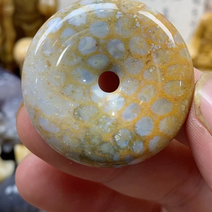 颈饰未镶嵌硅化珊瑚（珊瑚玉）