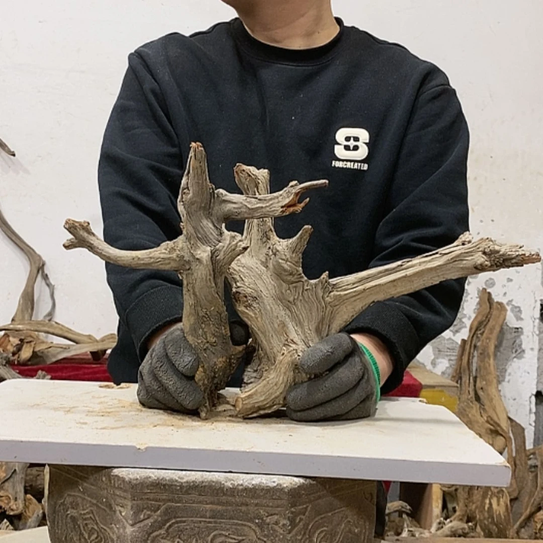 【闪购商品】柏木椂*我们都是好孩子