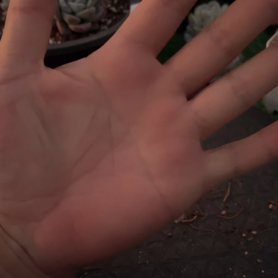 时光专拍保温箱链接打3成保温