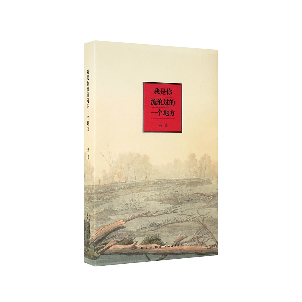 《我是你流浪过的一个地方》海桑诗集