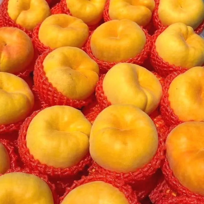 【乐谨达】香甜多汁山东蒙阴黄金毛蟠桃3斤/4.5斤