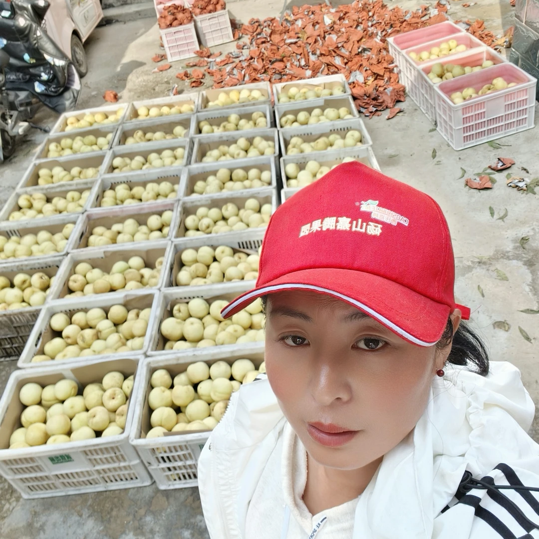 历时三个季节 240个日夜的生长 冬桃开园啦口感脆甜 糖度17个以上