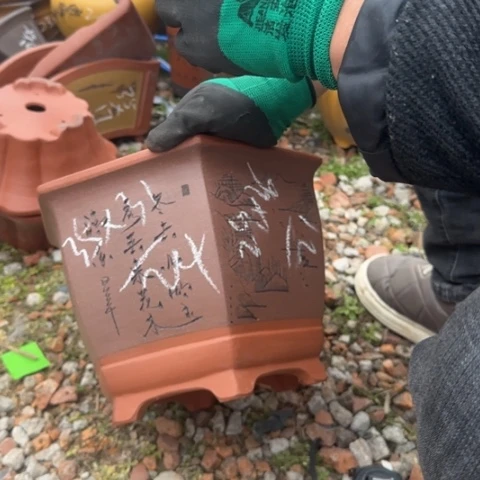 紫砂花盆紫砂花盆盆景盆栽
