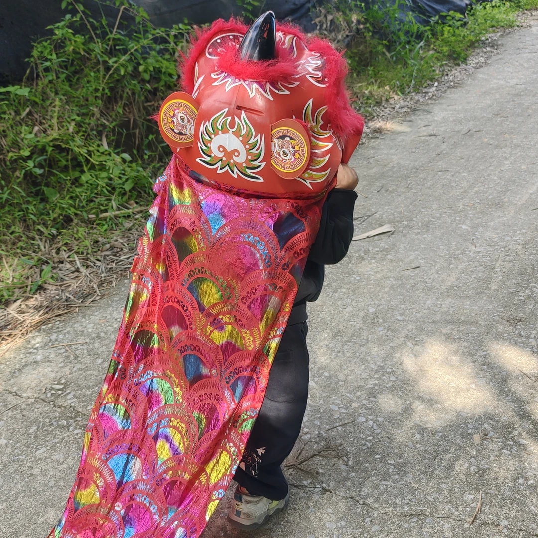 醒狮/儿童/玩具/过年/喜庆红色