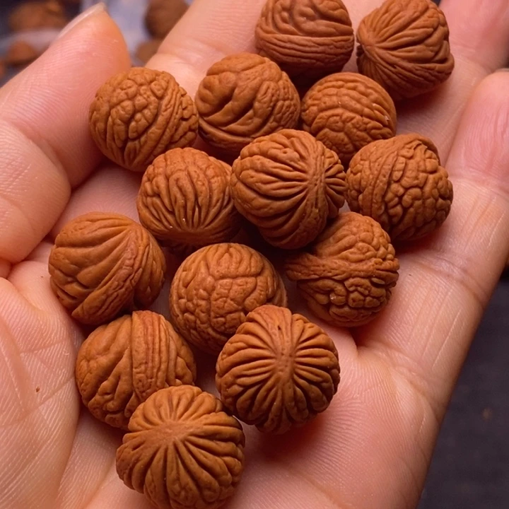秦岭龙纹桃核手串