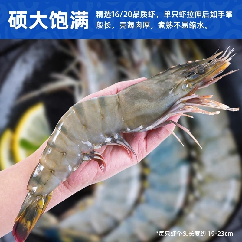 本港特大黑虎虾15 - 18厘米40条净重两斤活鲜速冻顺丰冷链包邮