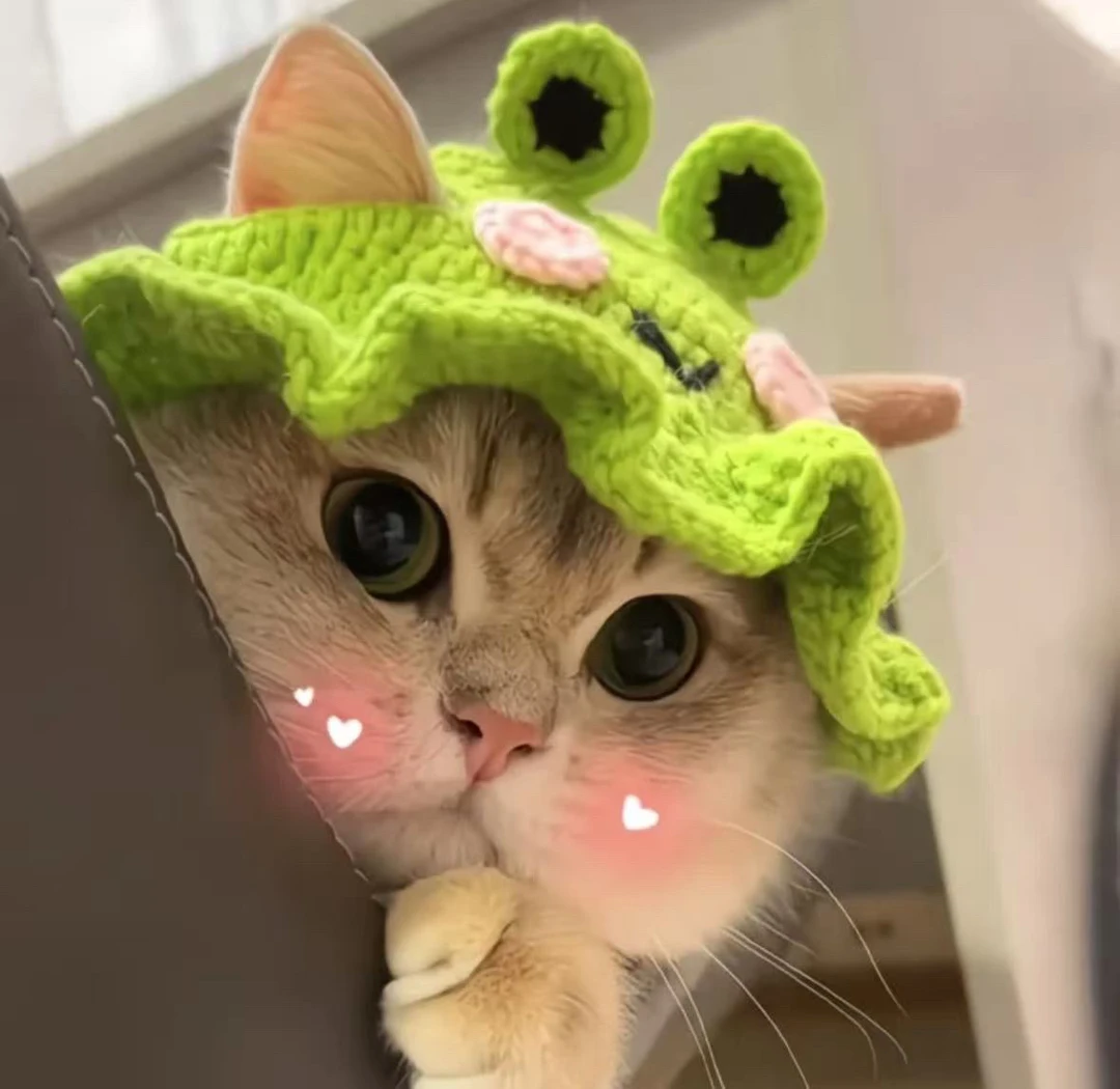 宠物针织帽子手工制品no退no换