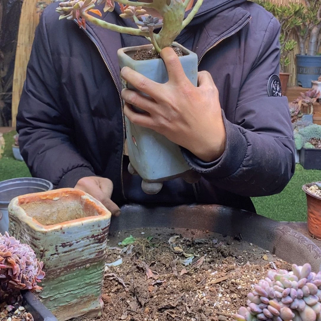 田94号阿伦陪000