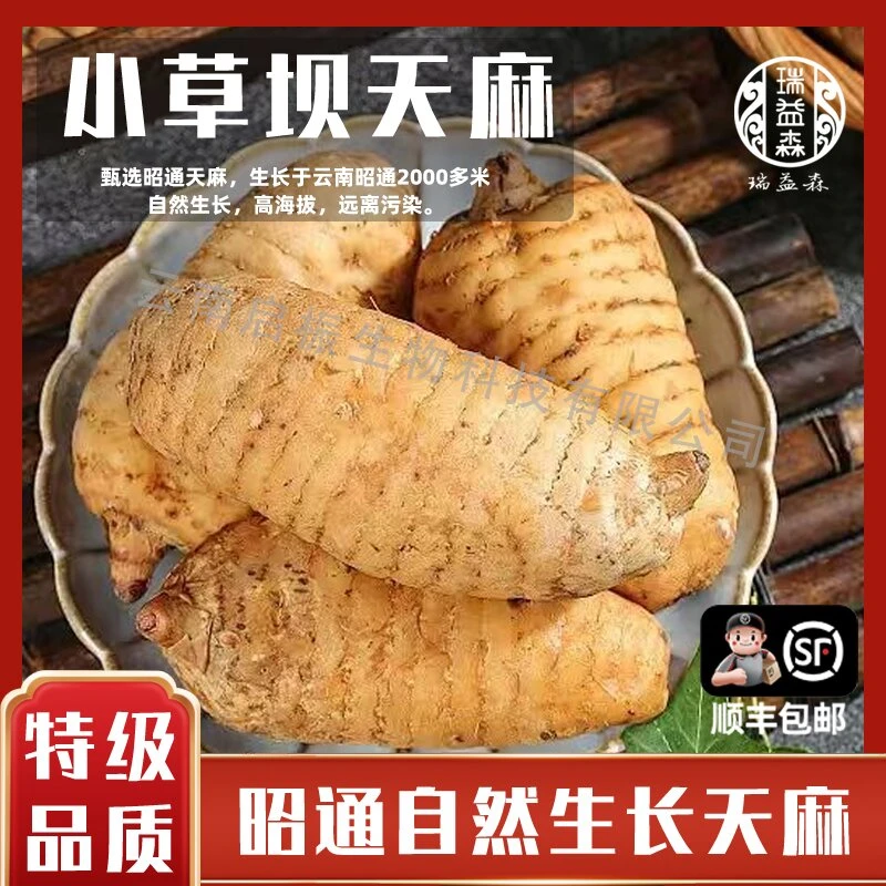 瑞益森云南昭通小草坝三年生长乌天麻新鲜现挖现发非野生特级顺丰
