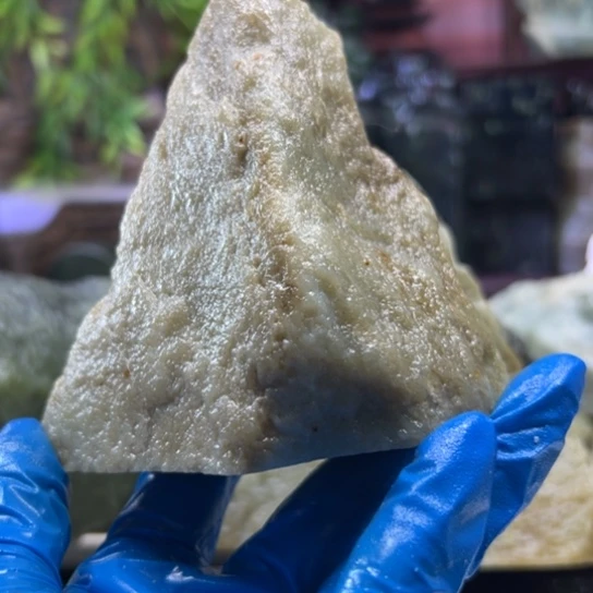 和田玉（黄玉）未镶嵌颈饰