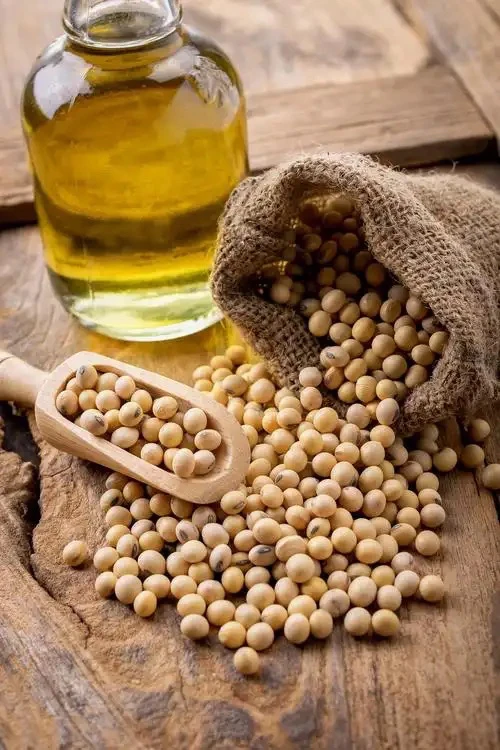 云南   高山黄豆