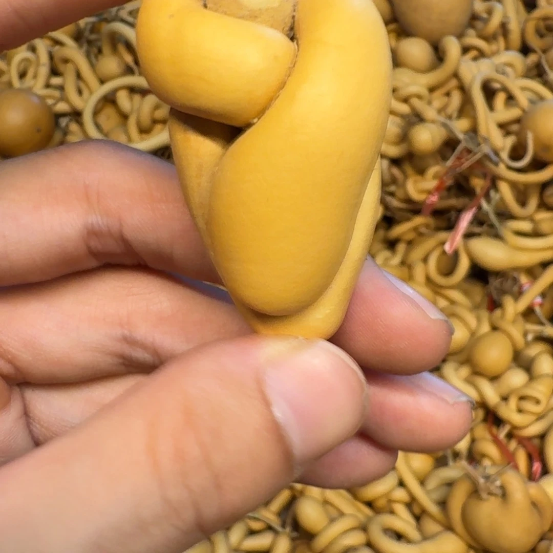 哈哈哈哈哈哈哈哈