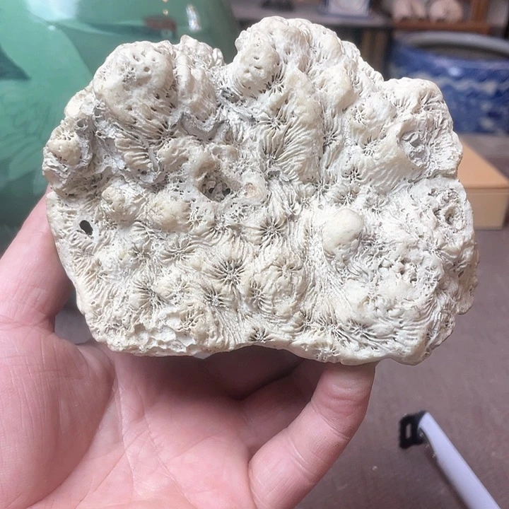 瓷片哈哈哈哈哈哈哈哈哈