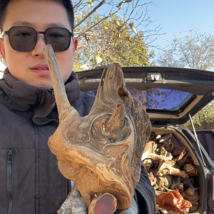 万***苏柏木啦啦啦啦啦啦啦，啦啦啦啦啦啦啦