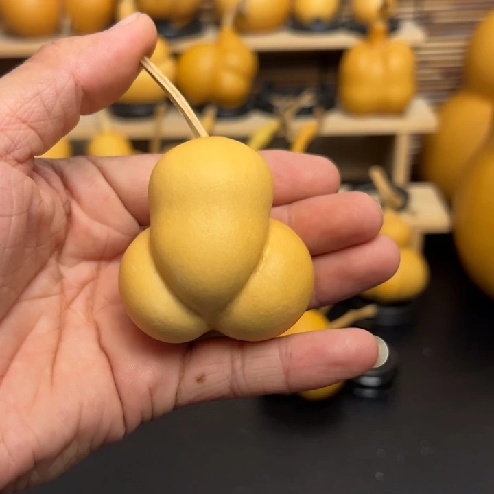 超***嘎5555588663699666669