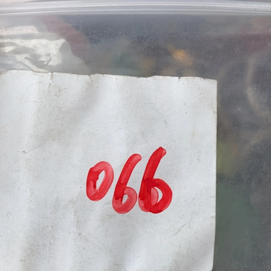 用***0吊坠龙脊菩提德宝文玩直播间专属链接