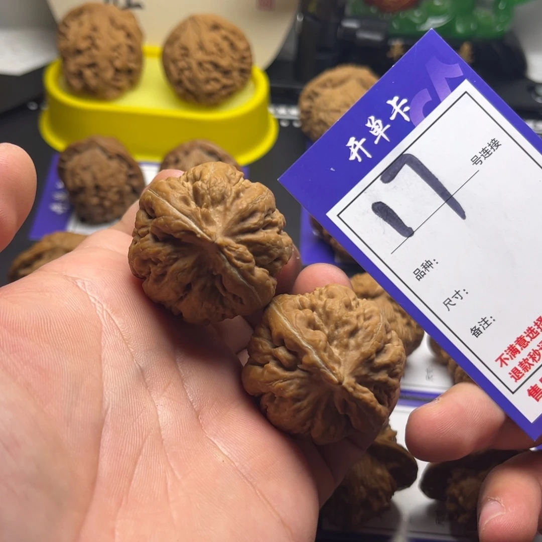 文玩核桃吊坠38霸王龙