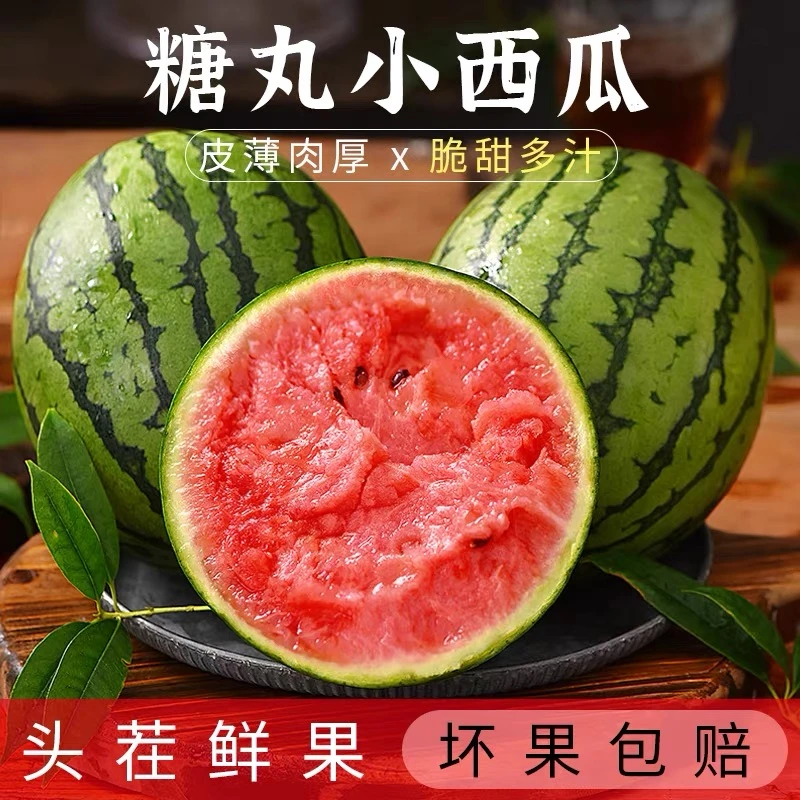 【手撕2k西瓜】山东2k当季手剥薄皮西瓜现摘现发纯甜多汁
