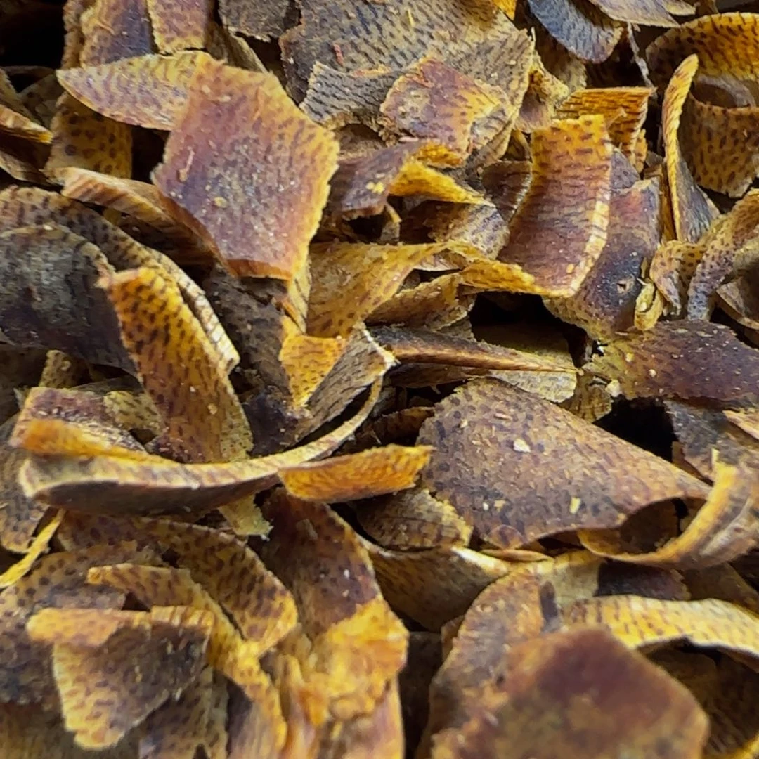 香榧木乌身老白棋切片10g