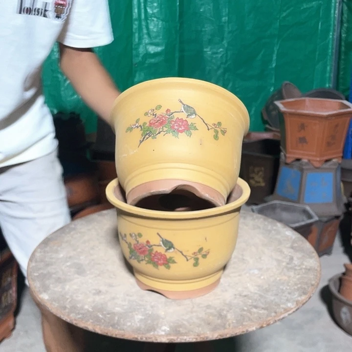 黄色鸟语花香小号一对