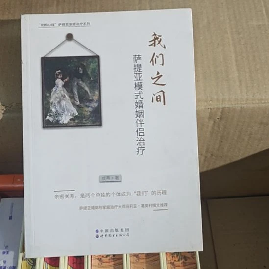 我们之间，萨提亚模式婚姻伴侣治疗。