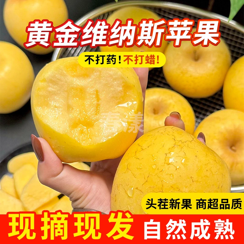 黄金维纳斯】正宗山东烟台维纳斯苹果当季水果脆甜多汁现摘现发1