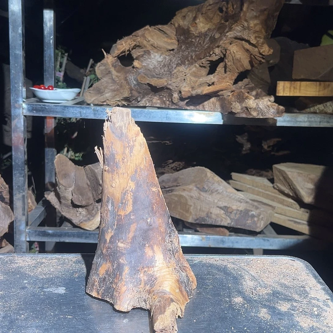 楠木X*A222222222222