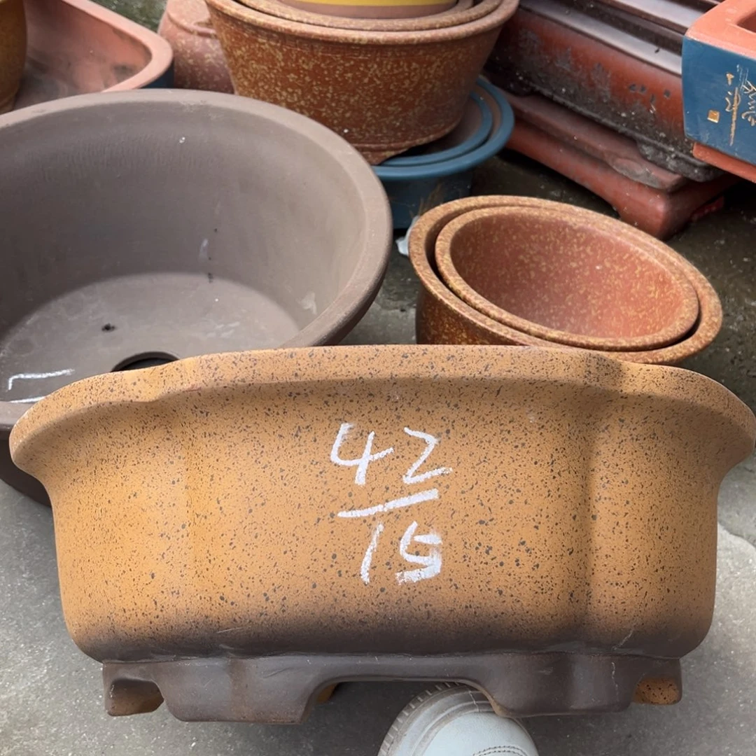 花盆紫砂盆景艺术