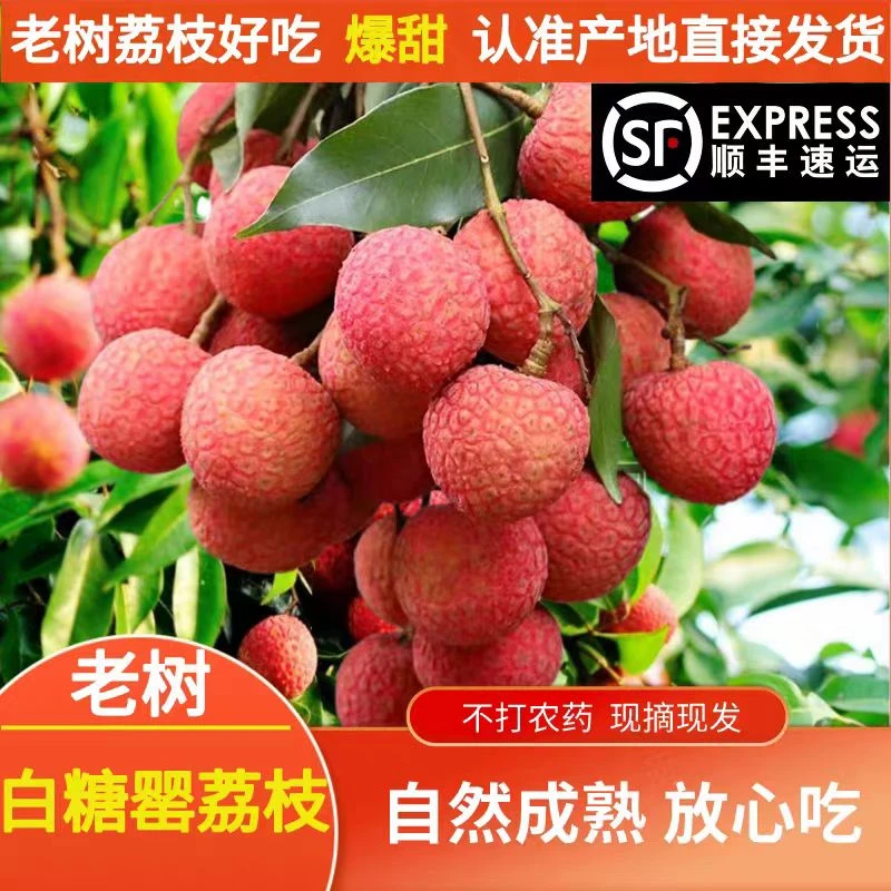 【✈顺丰空运✈】正宗广东高州老树妃子笑白糖罂现摘现发新鲜应季水果