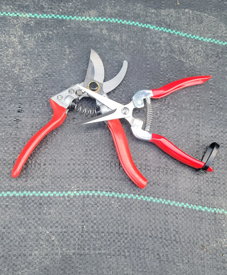 多功能家用剪枝果树修枝剪园艺适用修剪果枝苗木的实用剪刀