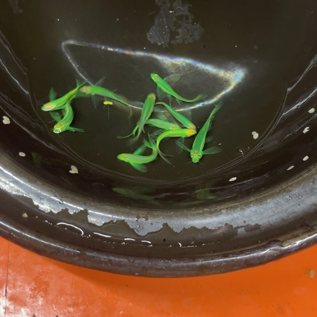 海水34号哈哈哈哈哈哈