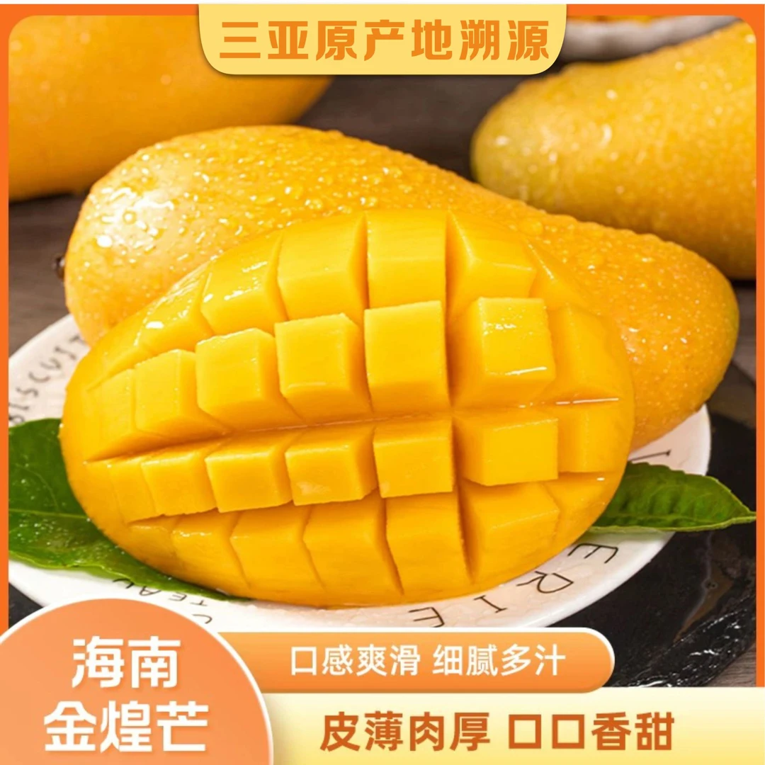 【果园直发】三亚金煌芒果味甜多汁自然成熟果地当天采摘-BGB