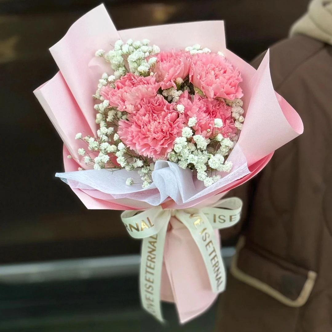 5支康乃馨混搭小花束（赠送手提袋）
