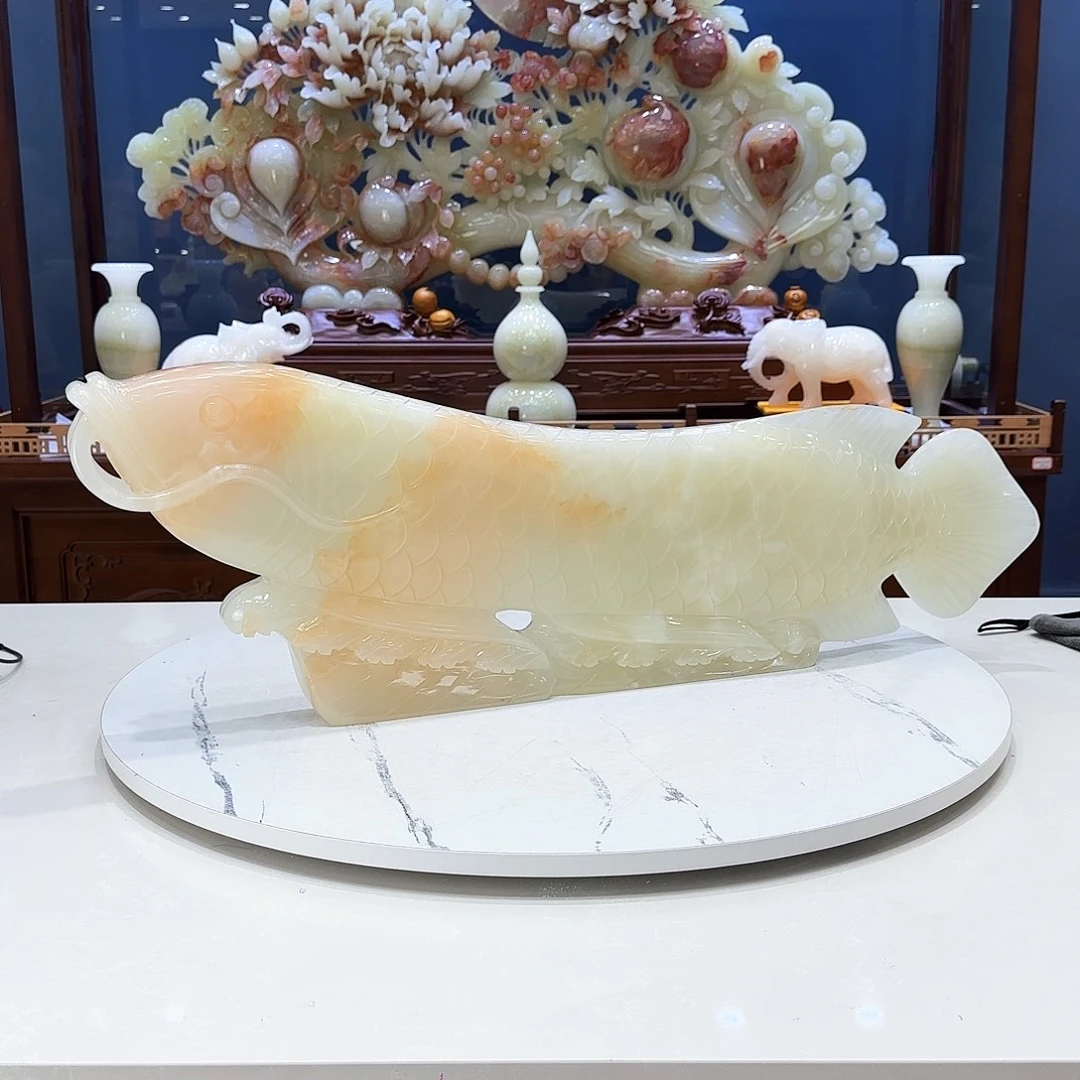 玉金龙鱼11111111111