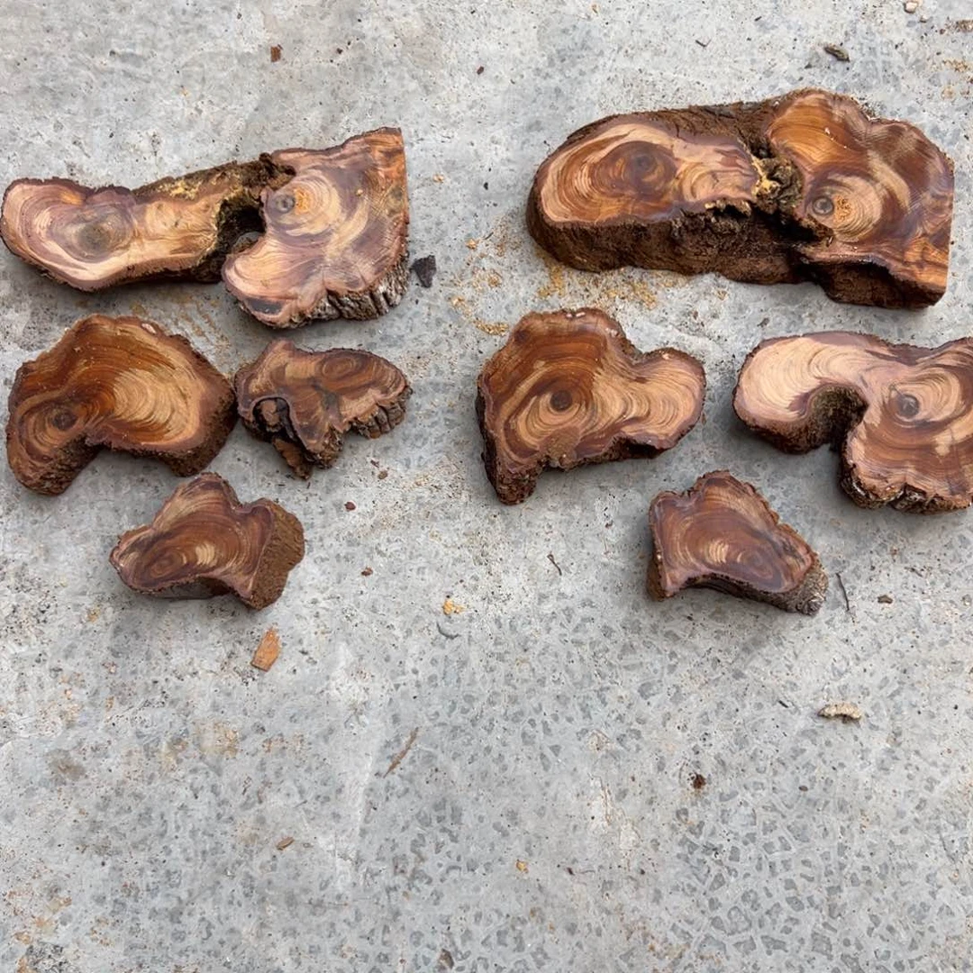 柏木 太行陈化眼睛料块