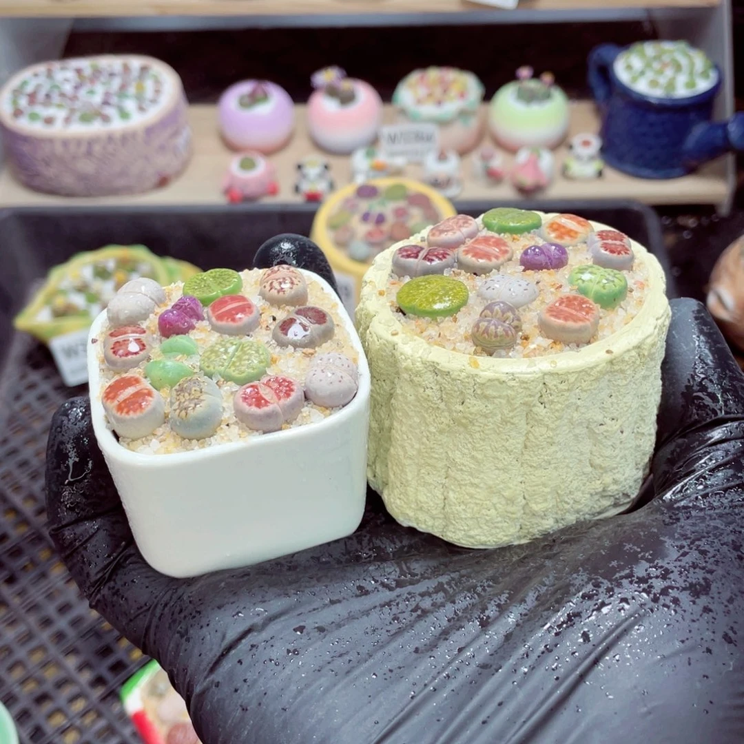夜间零下地区拍保温箱w3390