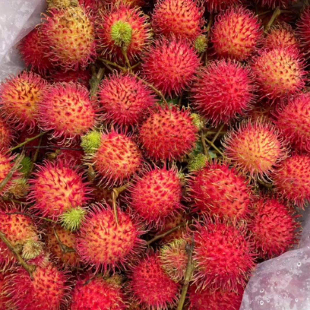 【果果优品】红毛丹 约 1 斤