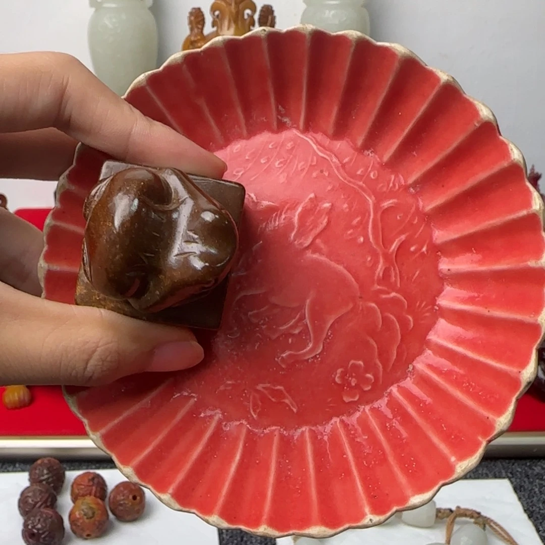 瓷片正在直播的我也