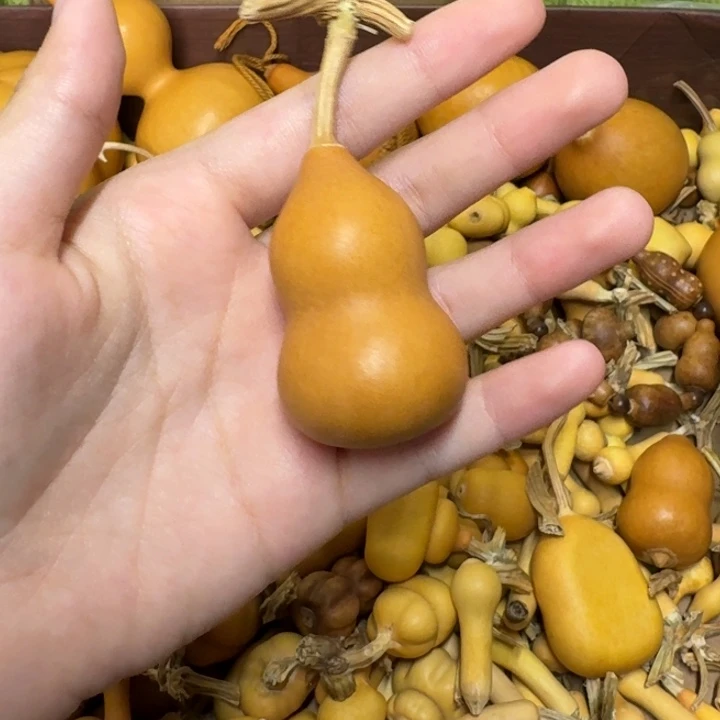 葫芦葫芦葫芦葫芦不包邮