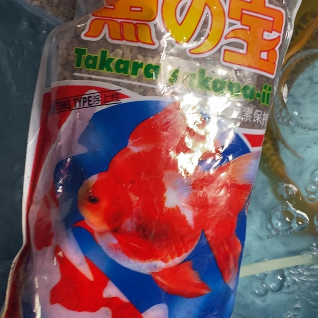 锦鲤俩袋饲料 包邮