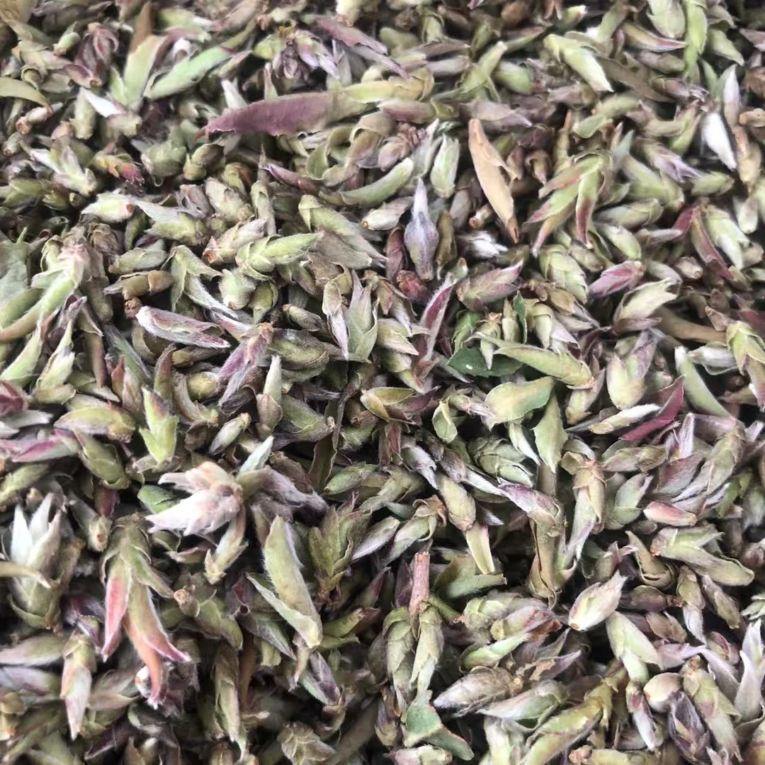 2025年 紫芽芽苞散茶