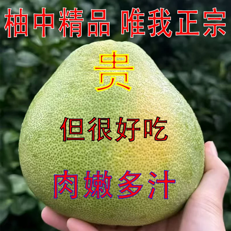 正宗度尾文旦柚福建文旦柚子无虾线孕妇父子应季水果肉嫩多汁