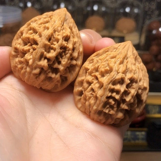 野生小众：秦鸡全品
