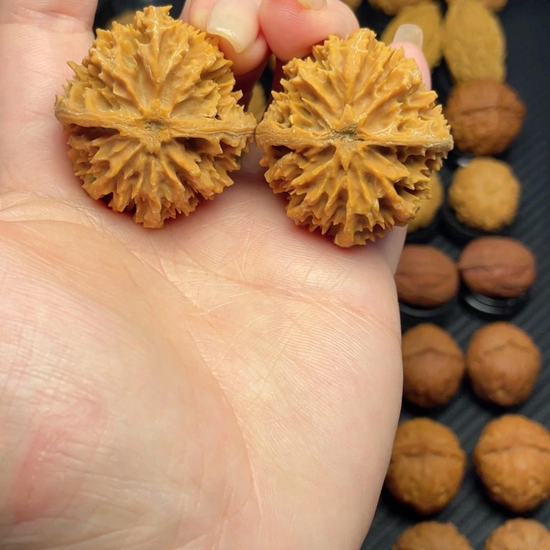 把件文玩核桃秦岭大刺