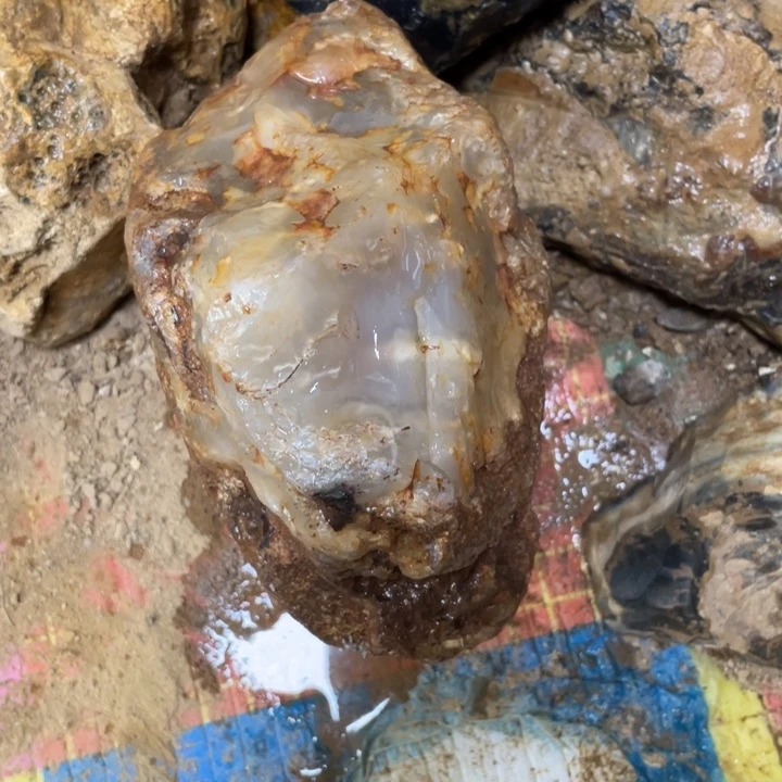 清***扬定制玛瑙定制手镯不退不换