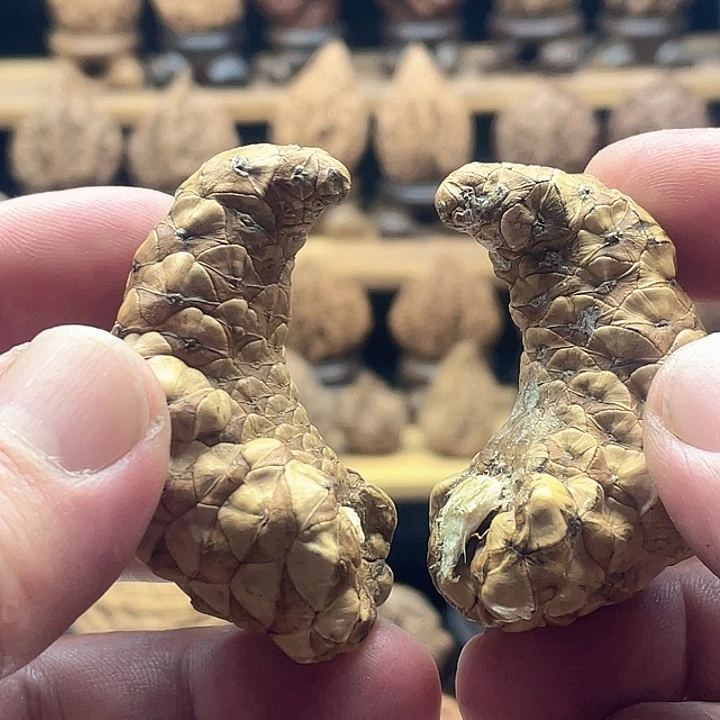 把件文玩核桃龙鳞凤爪