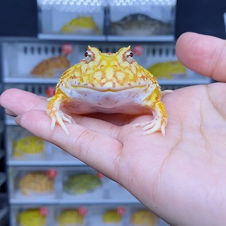 特价秒杀现货特价残