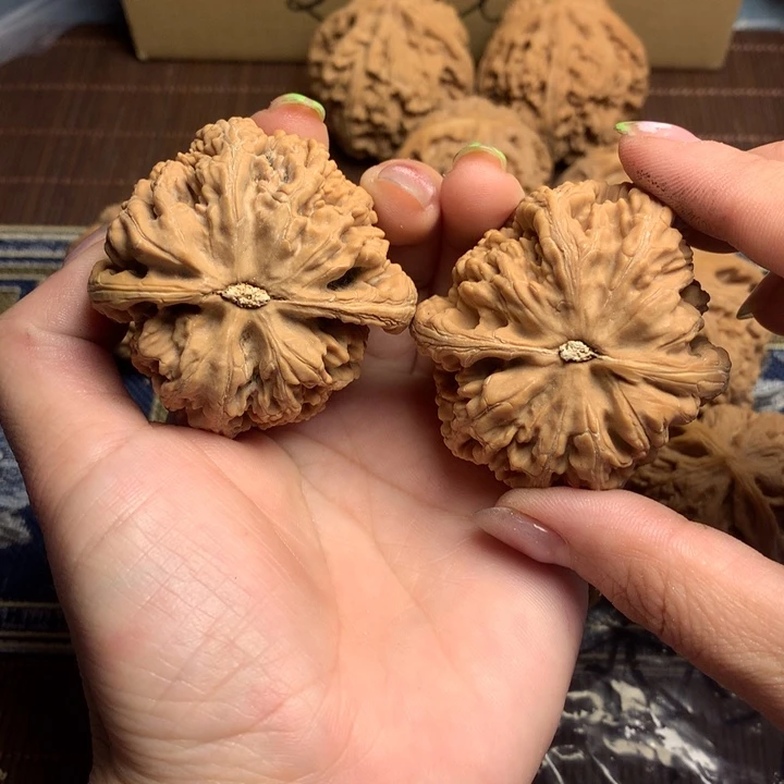 吊坠文玩核桃༺****༻粗筋