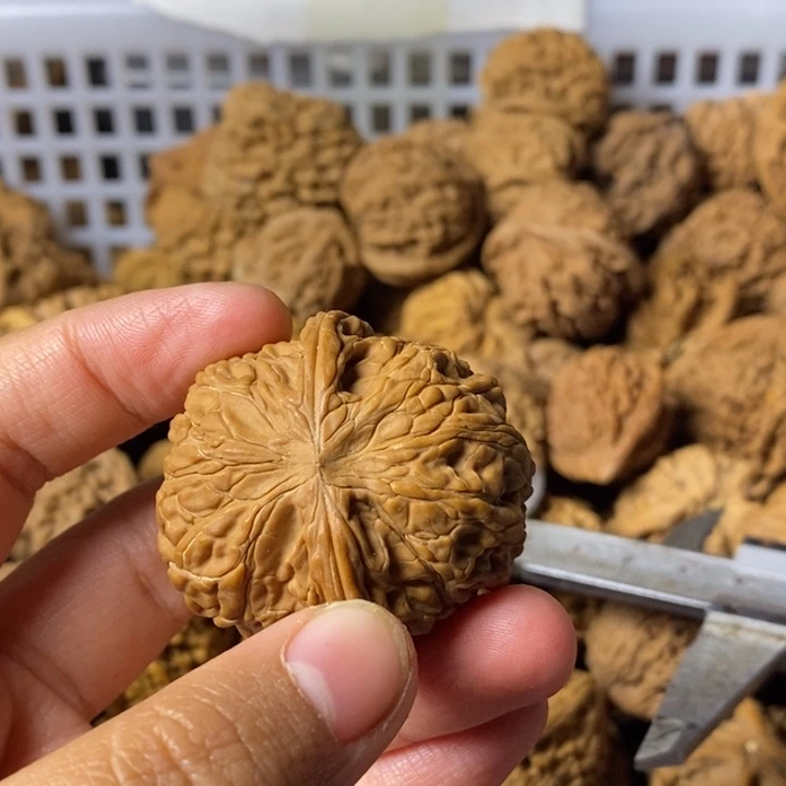 忆***凡大叶紫檀（黑酸枝木类）