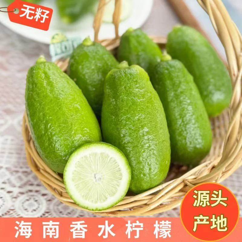 海南无籽香水柠檬新鲜水果青柠檬爆香多汁奶茶店商用一件批发包邮